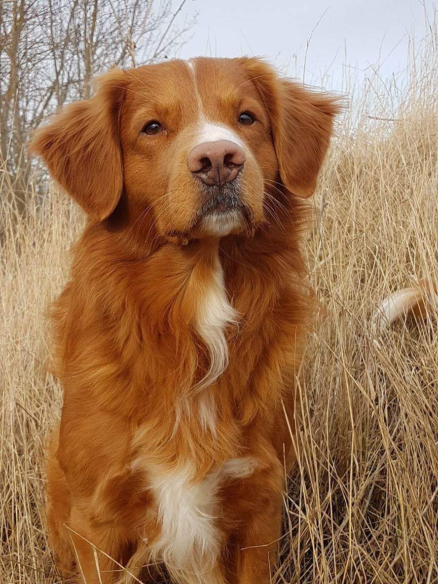 received_1442140549165643