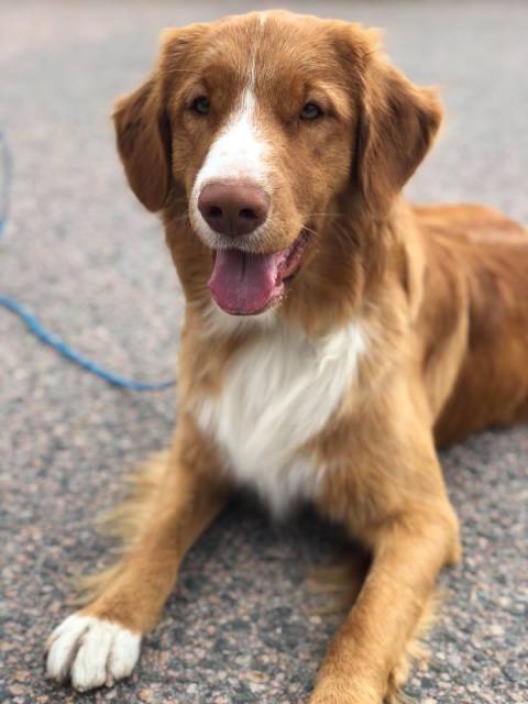 36741687_10214220026229005_7642531404265291776_n