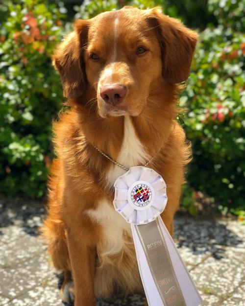 36802299_10214212206553518_830353294420344832_n