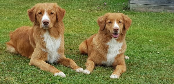 37893781_2120489548208136_6880863175302971392_n