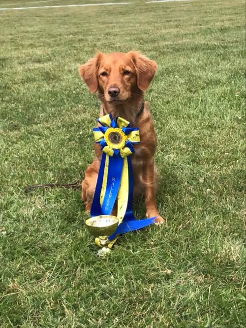 38494106_10155904333568528_8022873702041387008_n