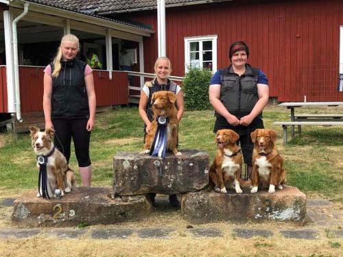 38503182_10155984230798655_3845006335724748800_n