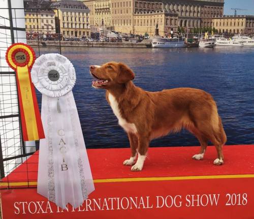 38516076_10155984340608655_4434150762108420096_n