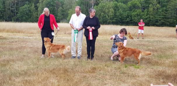 38612444_1809503342496978_1117374607213461504_n