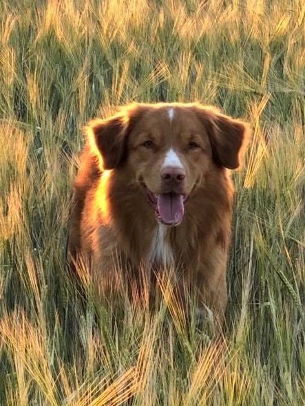 38639323_1903119126374921_865828500219625472_n