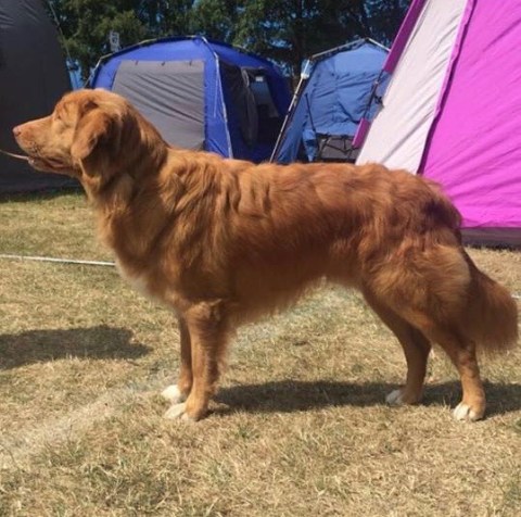 38653339_677221675966386_5853165586854445056_n