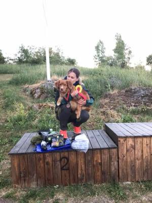 38682909_10160813475840442_6309245385172844544_n