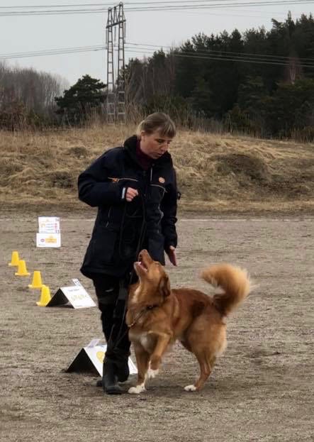 38729512_1903127063040794_4883280530247778304_n