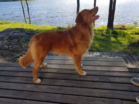 38731189_2128240567433034_2431937279019712512_n