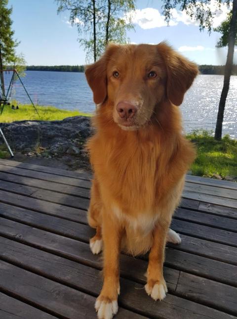 38742140_2128239367433154_7108508871626326016_n