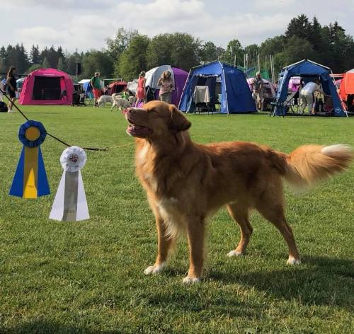 38749810_1903126663040834_7480847914458152960_n