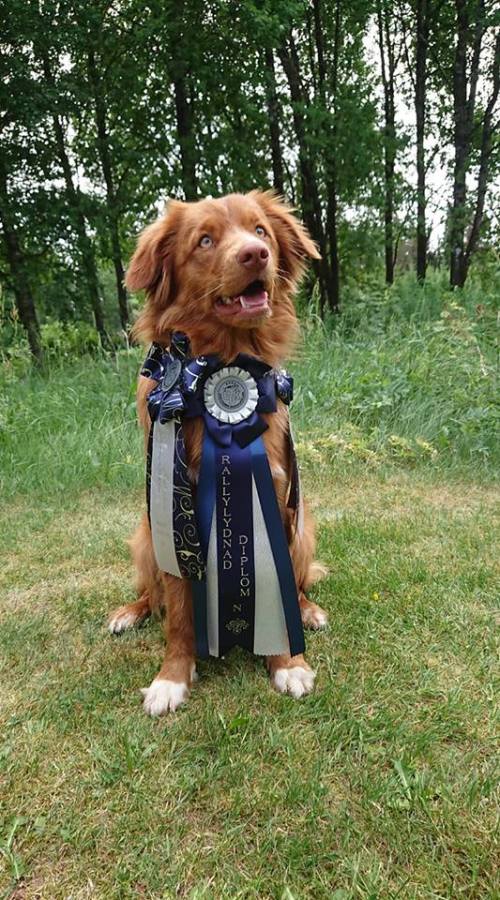 38802546_10155566841781722_7523257890417672192_n