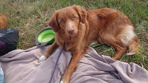 38916099_10155566842216722_2307413455415541760_n