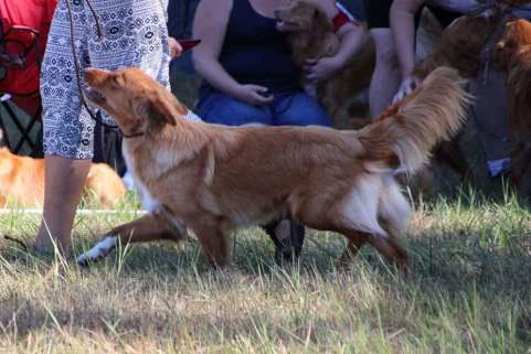 38936170_10216174136162596_4577796364229935104_n