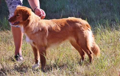 38939048_10216174137642633_5509364827883044864_n