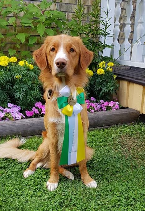 39077959_2133584513565306_1560131863656267776_n