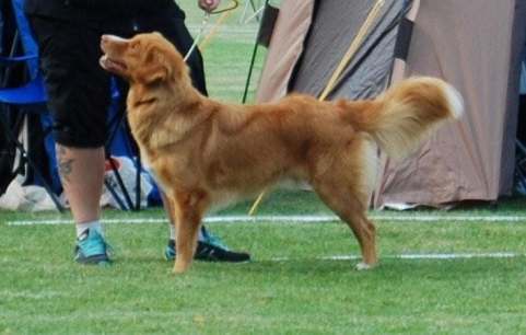 39105145_326316574580091_6786869727290458112_n