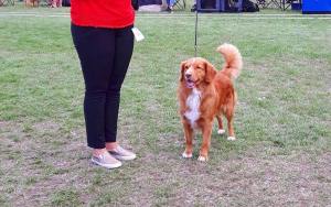 39522032_10214532917531092_1422516885244608512_n