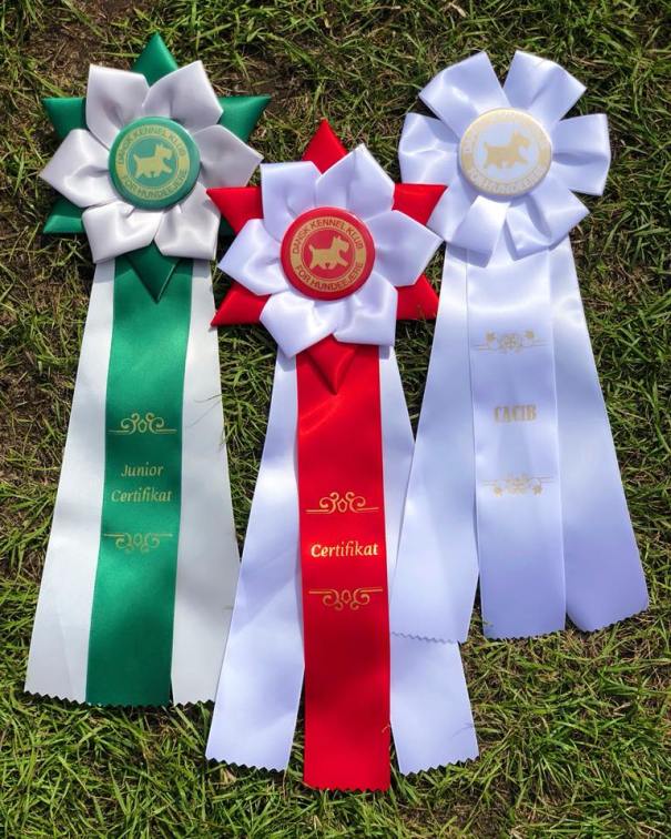 39748394_10214530728396365_9100267510963372032_n