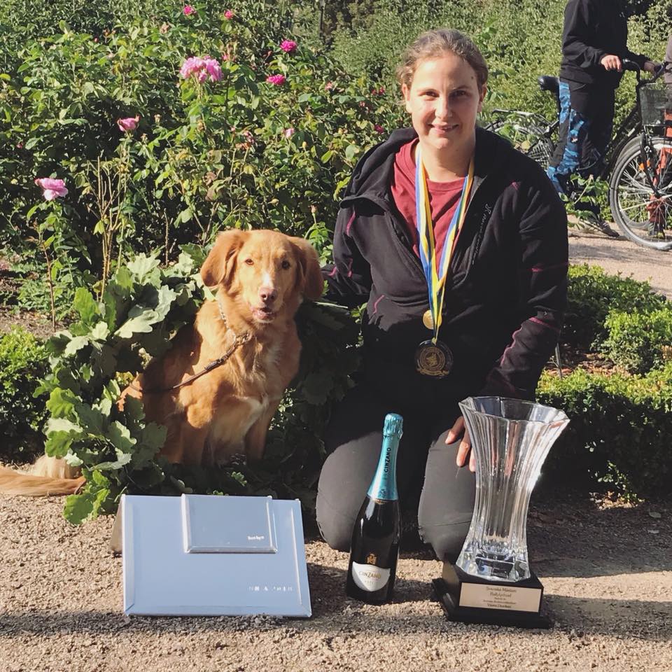 40054291_2016942858328353_4277981567927713792_n