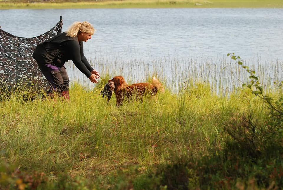 40160177_2308423249175079_8054262671660285952_n