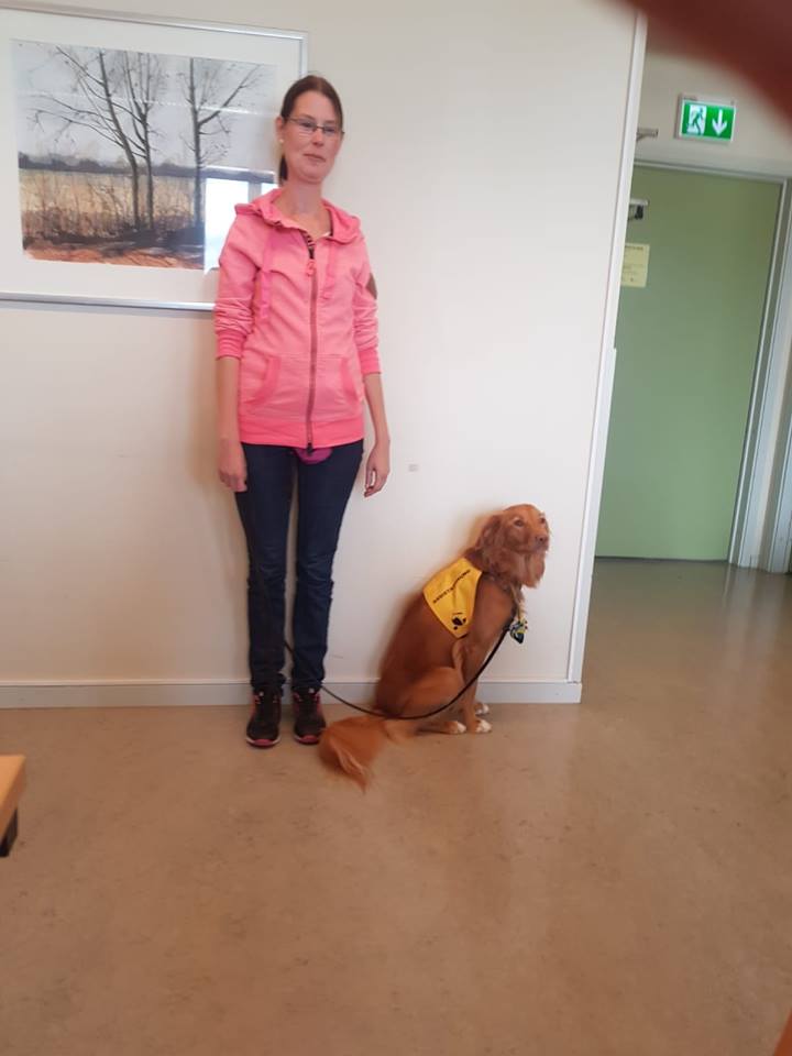 40225470_525806651177076_1284451184374972416_n