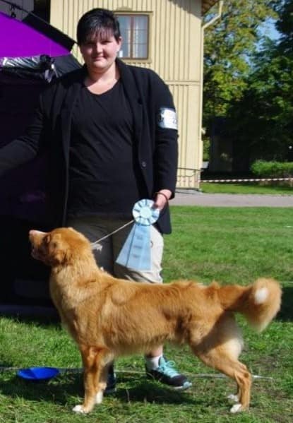 40467992_10156044382323655_5984140515761717248_n