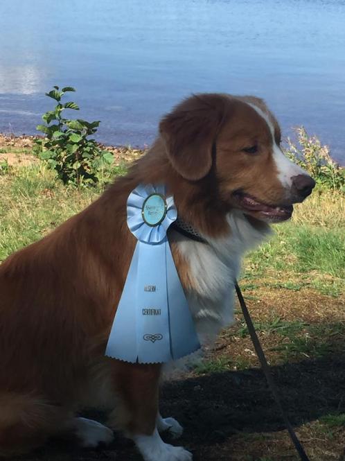 40537845_311306089424990_2646458714927661056_n