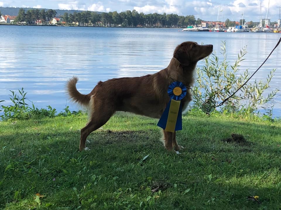 40592132_10156044382398655_2048363907411607552_n