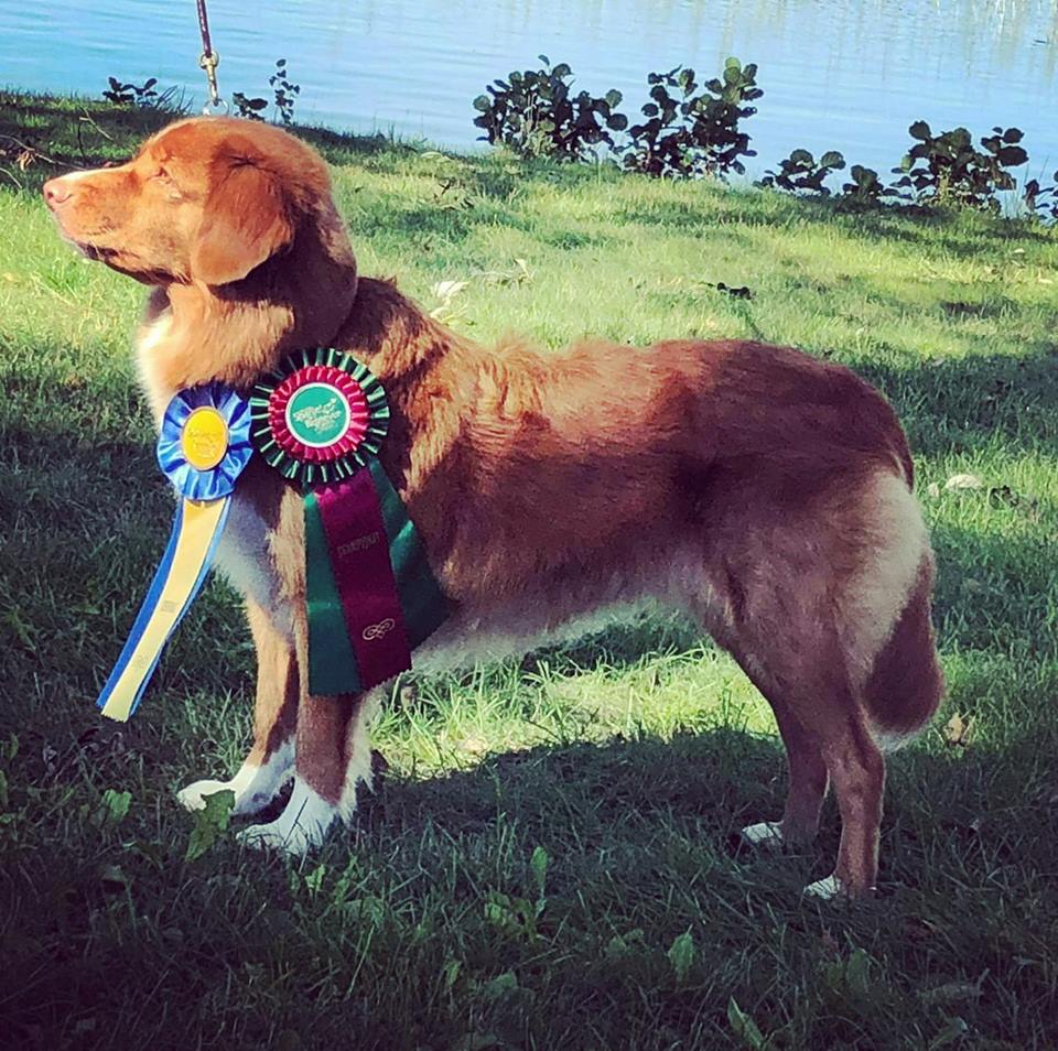 40600251_10156046196393655_8324303887083241472_n