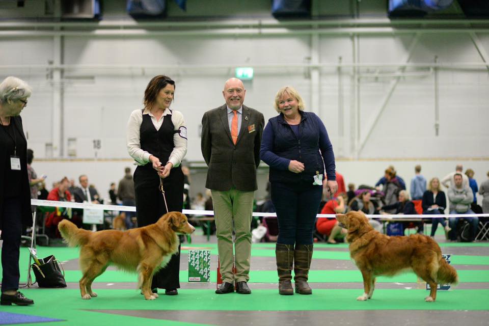 47687840_10156899682152258_8786476375683891200_n