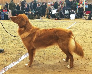 51272913_1141910119310680_3943894109424451584_n