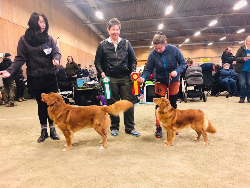 52991440_2174614722625585_375216928618184704_n