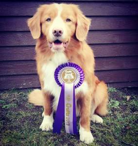 53537398_10156470137738655_1711235534753366016_n