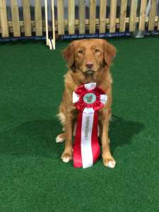 53660834_2155617371435040_3780979097874726912_n