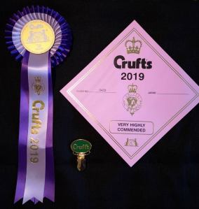 53692820_10156470137693655_4833583850212818944_n