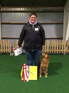 54518153_2155617364768374_4109423845524373504_n