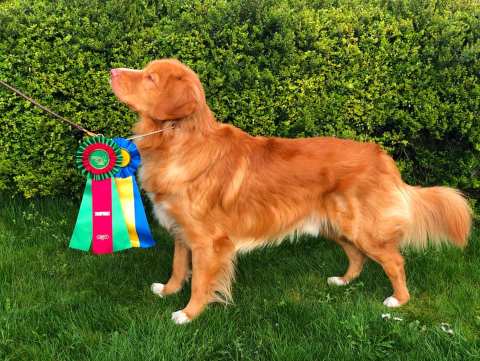 56713000_10216109084454280_9127941870742142976_n