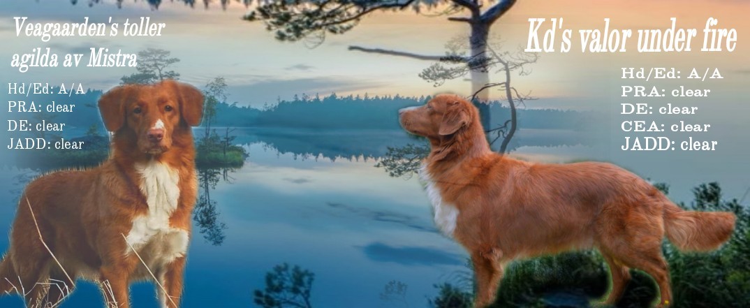 TextMaster_06-11-05.20.43