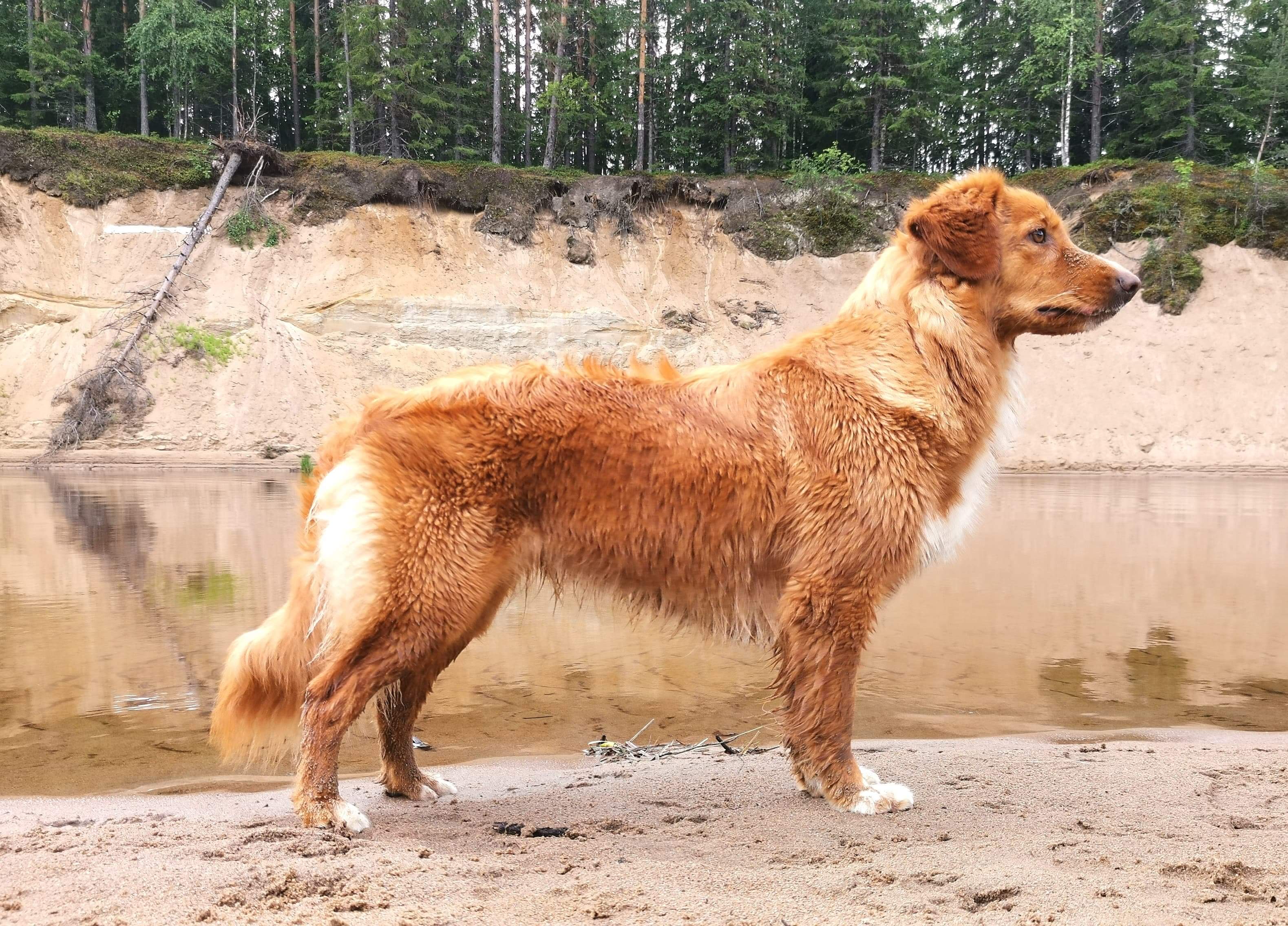 received_351472368870095