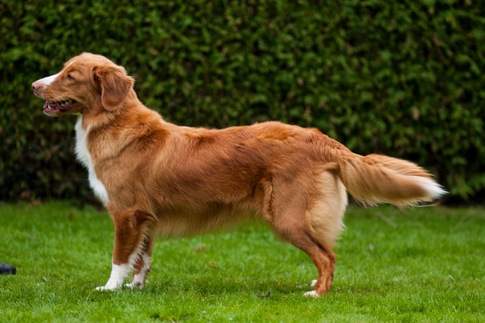 123001208_10157744915122709_111726953540309766_o