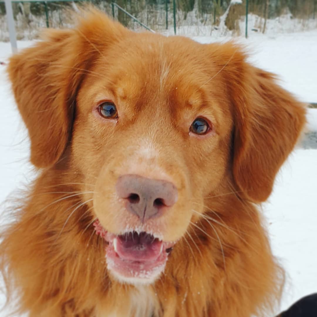 141833119_10159382925154524_3132833313119819933_o