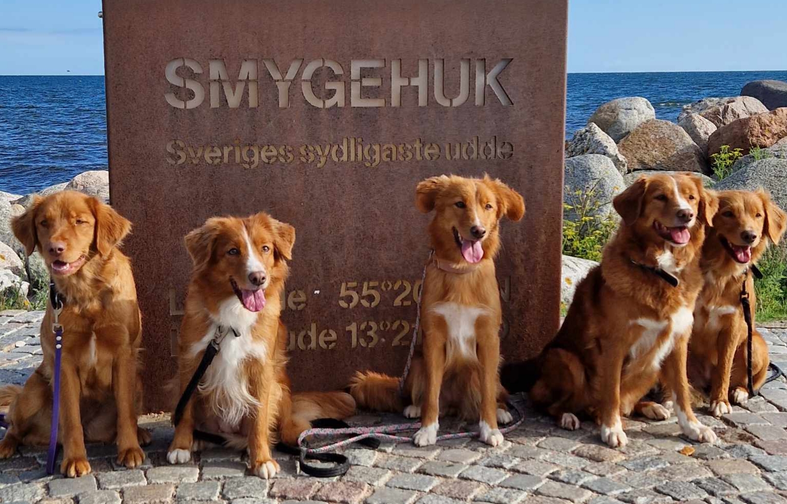 InCollage_20230814_111049170